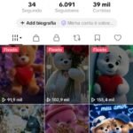 CONTA TIKTOK | 6,091+ SEG👥 | 39K CURT❤️ | NICHO TEDDY ,tiktok shop ativo 🧸 | SHOP ATIVA  💰