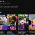 CANAL YOUTUBE / 64K INSCRITOS / NO MONETIZADO (CURIOSIDADES)