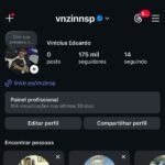 INSTAGRAM 175K REAL (seguidores LATAM)