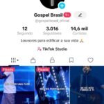 CONTA TIKTOK 3 MIL SEGUIDORES (TIKTOKSHOP LIBERADO)