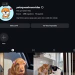 INSTAGRAM 2MILSEGUIDORES PREÇO DE REVENDA NICHO FORTISSIMO PETS