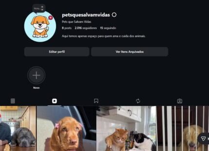 INSTAGRAM 2MILSEGUIDORES PREÇO DE REVENDA NICHO FORTISSIMO PETS