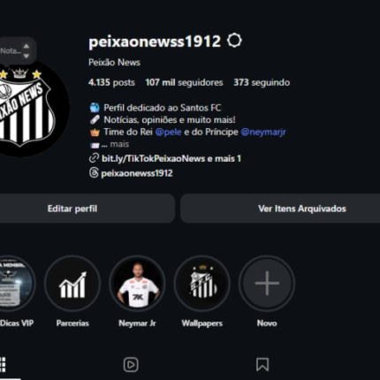 Perfil Insta SANTOS FC - 107 mil seguidores - +4k de posts