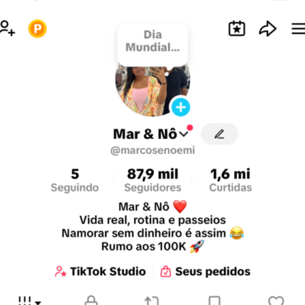 Perfil TikTok 88K +1M Curtidas