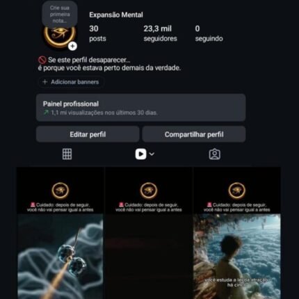 Instagram com 23,3 mil seguidores reais (crescimento organico)