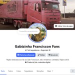 Página Gabizinha Franciscon Fans - 4,7k seguidores