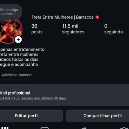 PERFIL com +11K seguidores / Nicho de entretenimento