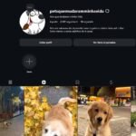 Instagram a venda com 2mil seguidores nicho em alta PETS - Precinho de revenda!!!