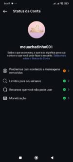 Perfil Instagram de Achados e Ofertas – 94,8k Seguidores (Alta Conversão) - Imagem 4