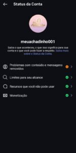 Perfil Instagram de Achados e Ofertas – 94,8k Seguidores (Alta Conversão)