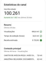CANAL YOUTUBE MONETIZADO 100K SUBS | +18.5 MILHÕES DE VIEWS | ALTO ENGAJAMENTO 🦁🔥 - Imagem 3