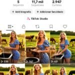 CONTA DO TIKTOK EUA MONETIZADA +11,7K SEGUIDORES (ENGAJAMENTO REAL)