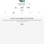 CONTA DO TIKTOK COM SHOP ATIVO +3,2K SEGUIDORES (NICHO FEMININO)