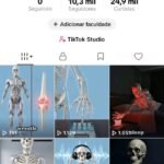 CONTA DO TIKTOK EUA MONETIZADA +10,3K SEGUIDORES (ENGAJAMENTO REAL)