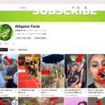 Canal de Curiosidades no idioma Inglês