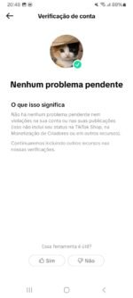 NO PONTO! TIK TOK 11.400+ RECÉM MONETIZADO DISPONÍVEL! - Imagem 4