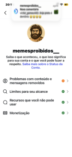 Página Memes Proibido - Imagem 3