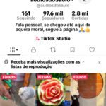 Conta tiktok 97.6 tiktok Shop ativo sem documento