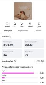 Instagram nicho materno - Imagem 2