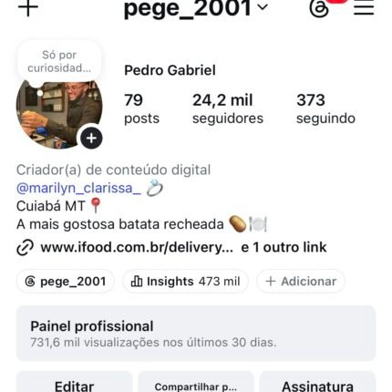 Conta Instagram 24,2K seguidores no orgânico