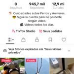 Tiktok Monetizado 945 mil seguidores e mais de 160 milhões de visualizações