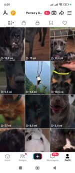 Tiktok Monetizado 945 mil seguidores e mais de 160 milhões de visualizações - Imagem 2