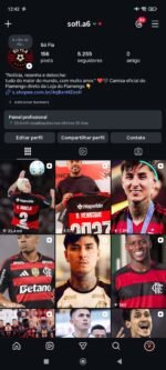 COMBO DE REDES SOCIAIS NO NICHO FLAMENGO – TikTok, Kwai, Instagram, YouTube e Facebook (Projeto Dark / Sem Aparecer) - Imagem 2