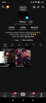Conta tiktok antiga com engajamento real - Imagem 2