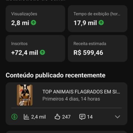 YouTube engajado com 250 mil seguidores monetizado