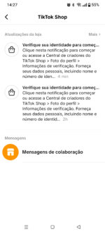 TIKTOK SHOP DISPONÍVEL 🛍 Ttk shop: *Ativo* 👥 Seguidores:*10,5k* 🪪 Documentada: *Não* 🌎 País: *BRASIL🇧🇷* ⚠️ Restrição: *Conta limpa* ✅ *Único Dono* ✍️* Troca de nome : *DISPONIVEL* - Imagem 3