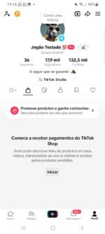 VIRALIZANDO!!! TIK TOK 17.9K COM TIK TOK SHOP ATIVADO (SEM DOC E PRONTO PARA LUCRAR!!) - Imagem 2