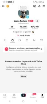 (VIRALIZANDO!!) PERFIL 18.2K + TIK TOK SHOP LIBERADO!!! - Imagem 3