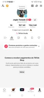 🔥 SÓ HOJE! TikTok 18.7K Alto Engajamento + Shop Ativo e Sem Documentos! - Imagem 2