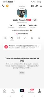 VIRAL E ENGAJADA!! CONTA COM 18.8K PERFEITA PARA TIK TOK SHOP!!! - Imagem 2