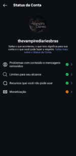 CONTA INSTAGRAM 113K - Imagem 2