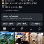 Instagram com 175 mil seguidores reais e mais de 150 milhões de visualizações 😱