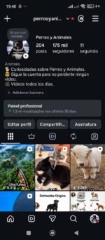Instagram com 175 mil seguidores reais e mais de 150 milhões de visualizações 😱 - Imagem 5