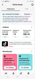 CONTA DE MEMES MONETIZADA NO TIKTOK COM 123K DE SEGUIDORES - Imagem 3