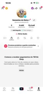 TIKTOK 2.6k - Tiktok Shop / DOC EM BRANCO - Imagem 3