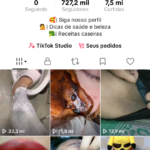 Conta Tik Tok - Só Dicas Caseiras – 727.1k seguidores