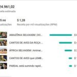 CANAL YOUTUBE MONETIZADO 100K SUBS | +18.5 MILHÕES DE VIEWS | ALTO ENGAJAMENTO 🦁🔥