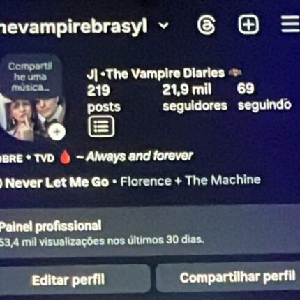 Conta instagram +21K Super engajada
