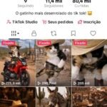 NO PONTO! TIK TOK 11.400+ RECÉM MONETIZADO DISPONÍVEL!