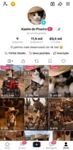NO PONTO! TIK TOK 11.400+ RECÉM MONETIZADO DISPONÍVEL!