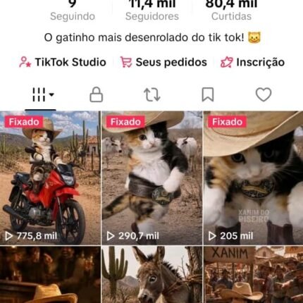 NO PONTO! TIK TOK 11.400+ RECÉM MONETIZADO DISPONÍVEL!