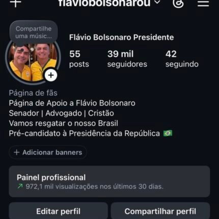Instagram engajado Poltica