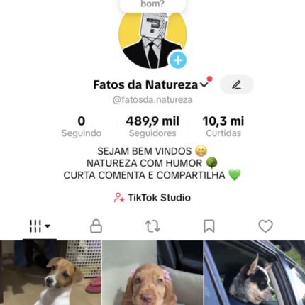 Conta TIKTOK com 489k de seguidores com monetização