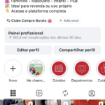 Perfil Instagram com 101 Mil Seguidores