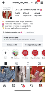 Perfil Instagram com 101 Mil Seguidores