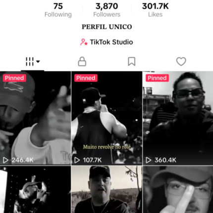 CONTA TIKTOK 3.8K — ORGÂNICA!